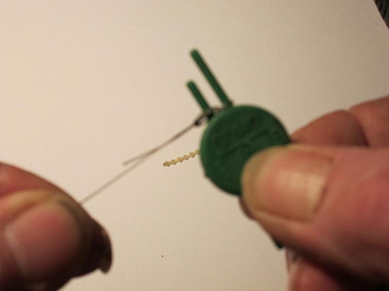 Hair Loop photo IMG_0011_zps8b808e8c.jpg