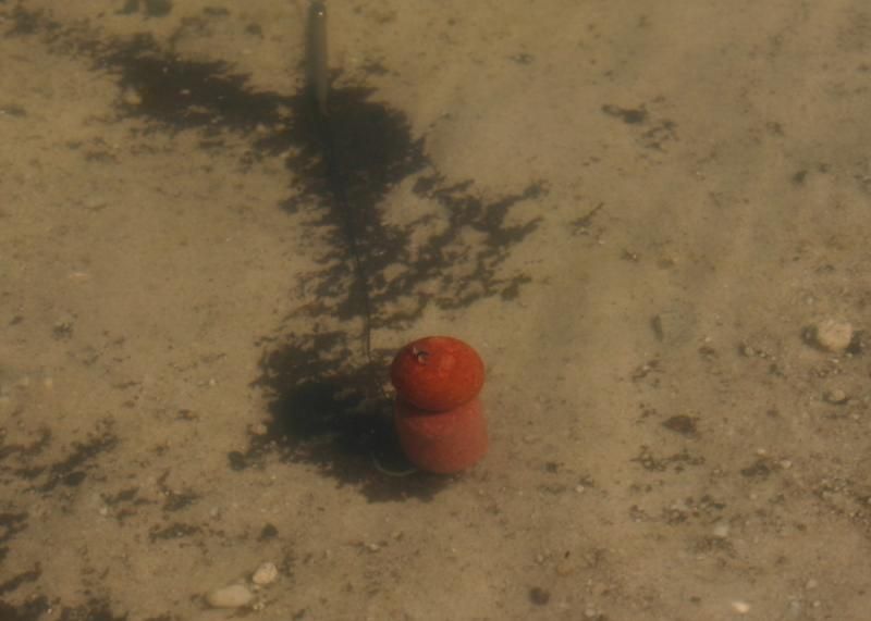  photo SnowmanRig_zpsa64cebe0.jpg