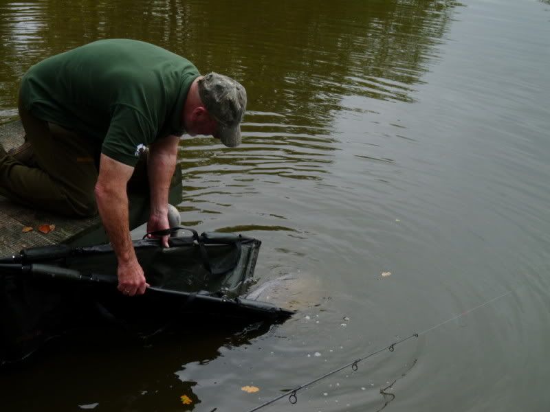  photo returningcarp2.jpg