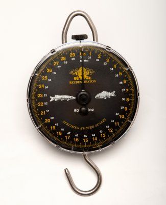  photo specimenhunterscales_zps6306d471.jpg