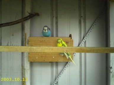 IMAG0030.jpg