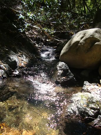 uvas canyon