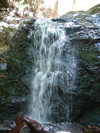 uvas canyon