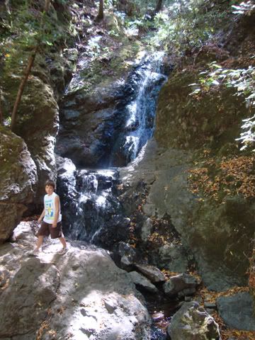 uvas canyon