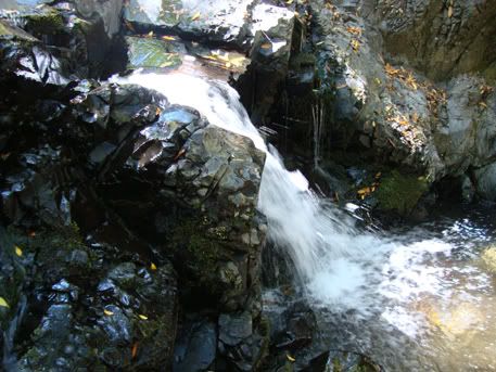 uvas canyon