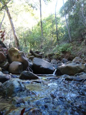 uvas canyon