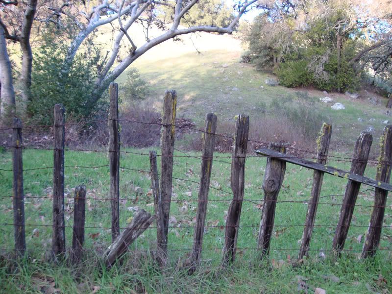 Rustic Fences