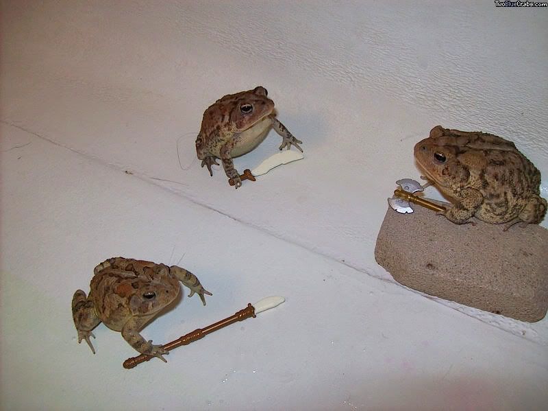 toadfighters.jpg