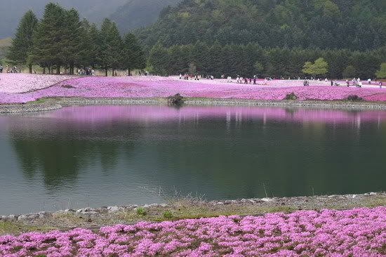圖檔