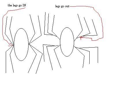 spiderguitar.jpg