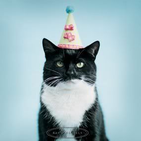 birthday_catbmp.jpg