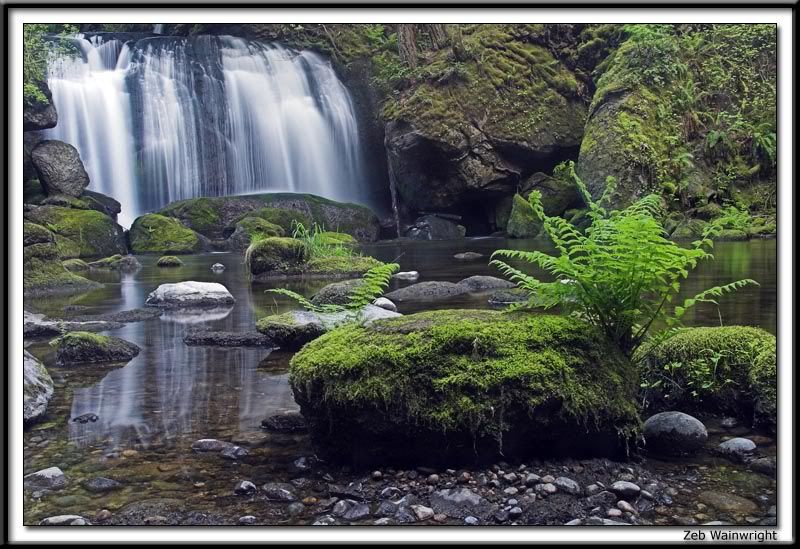 IMAGE: http://img.photobucket.com/albums/v462/AmishThug/2.jpg