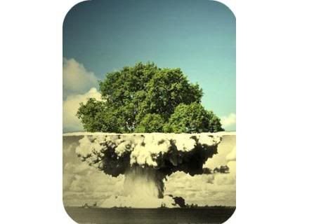 Tree Bomb