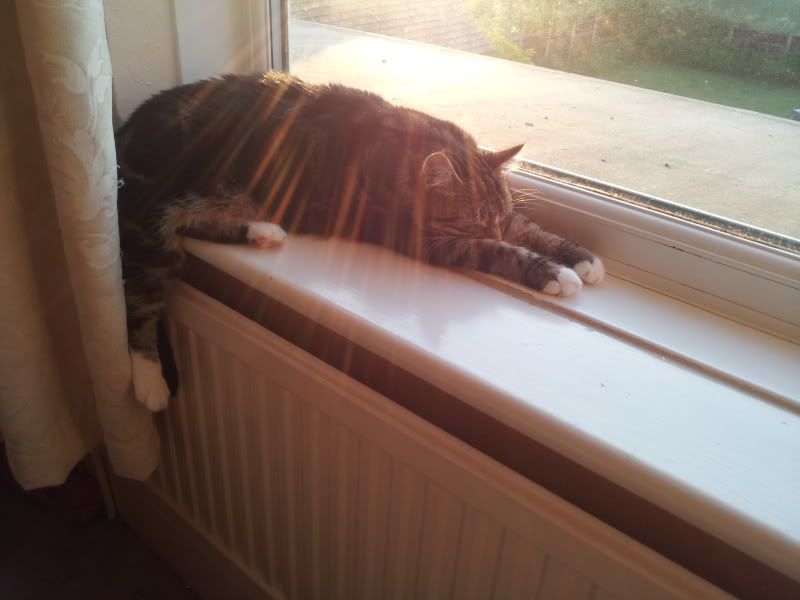 2011-06-11204543.jpg