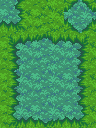 003_grassC.png