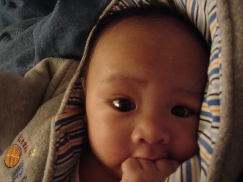 DSC02120.jpg