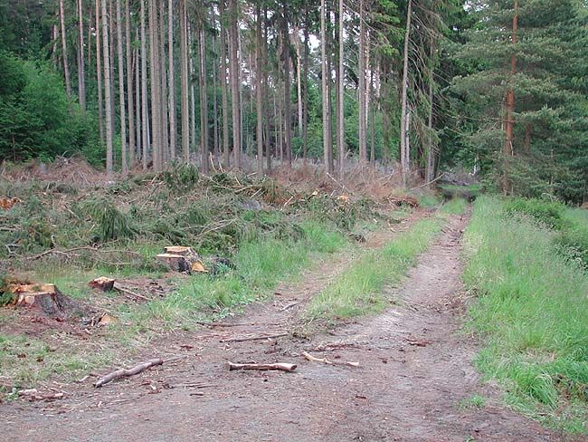 Image hosted by Photobucket.com