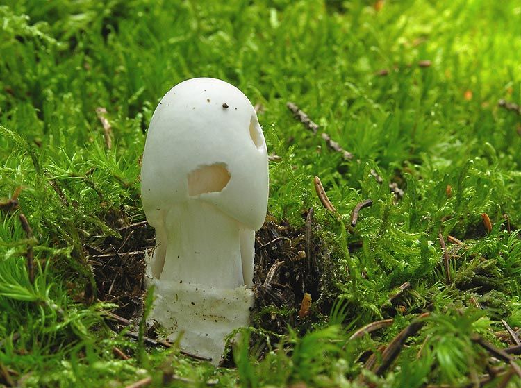 Image hosted by Photobucket.com