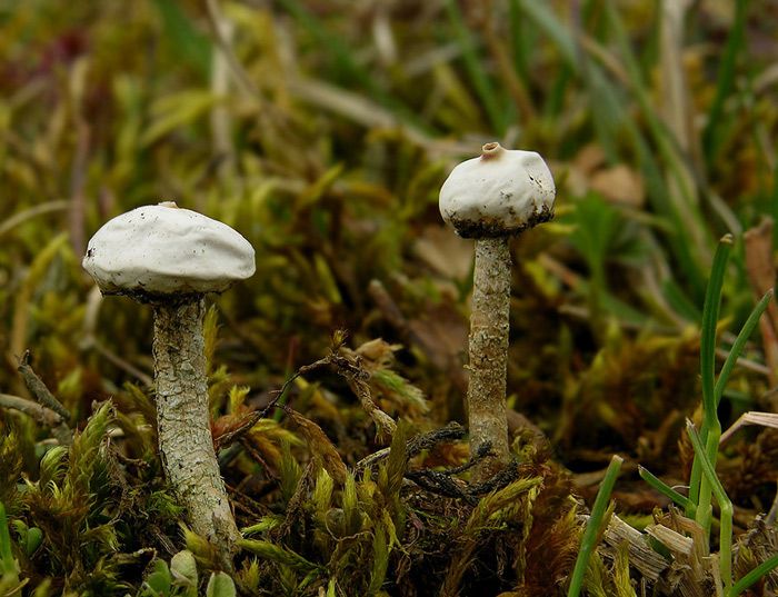 Image hosting by Photobucket