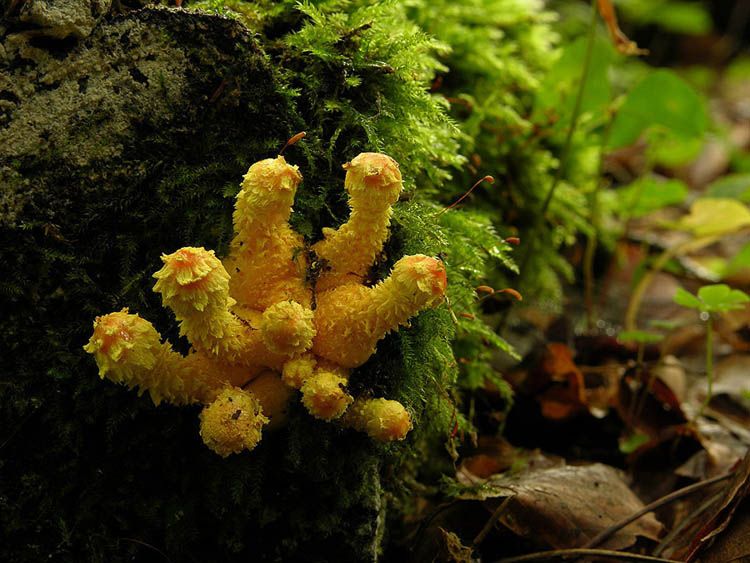 Image hosted by Photobucket.com