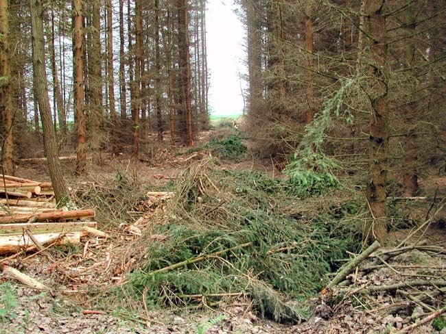 Image hosted by Photobucket.com