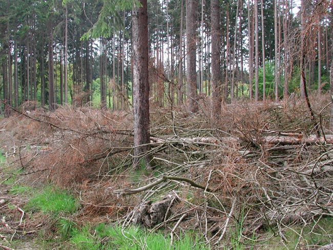 Image hosted by Photobucket.com