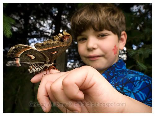 Ben and moth