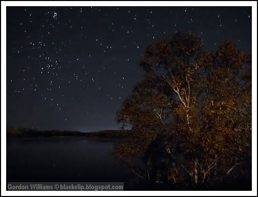 Tatamagouche Starry Night