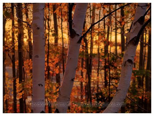 sunrise hdr tatamagouche