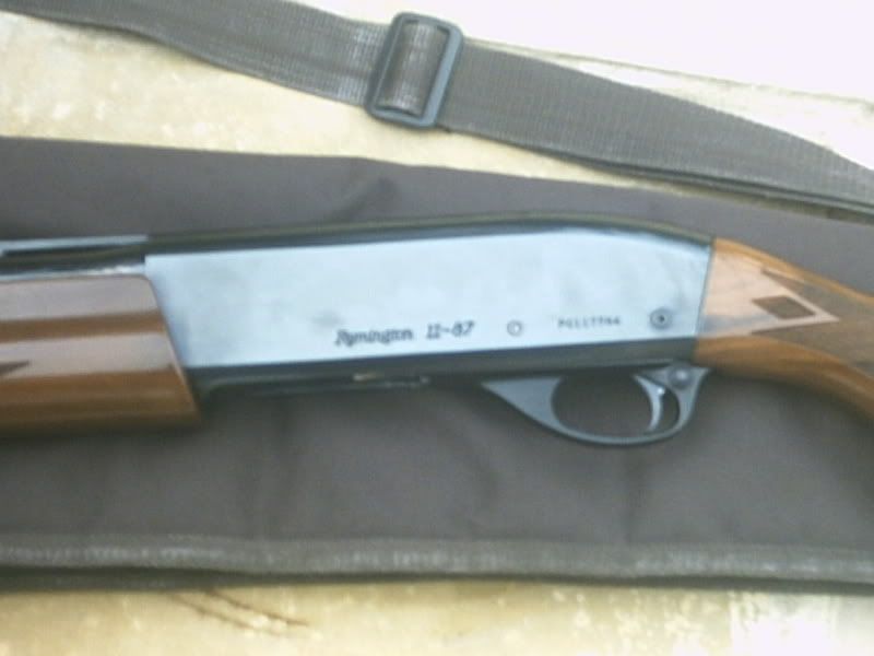 remington1187002.jpg