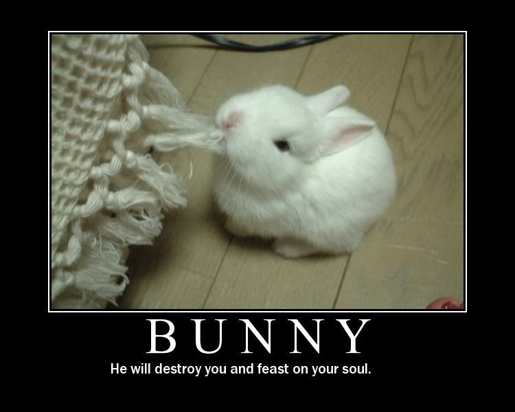 bunny1-1.jpg
