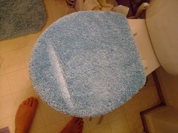 seat cover