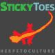 StickyToes Avatar