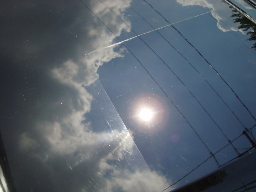 DSC01485.jpg