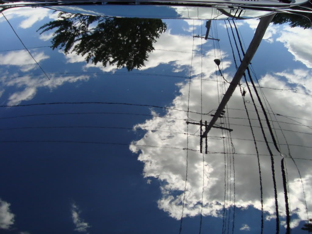 DSC01509.jpg
