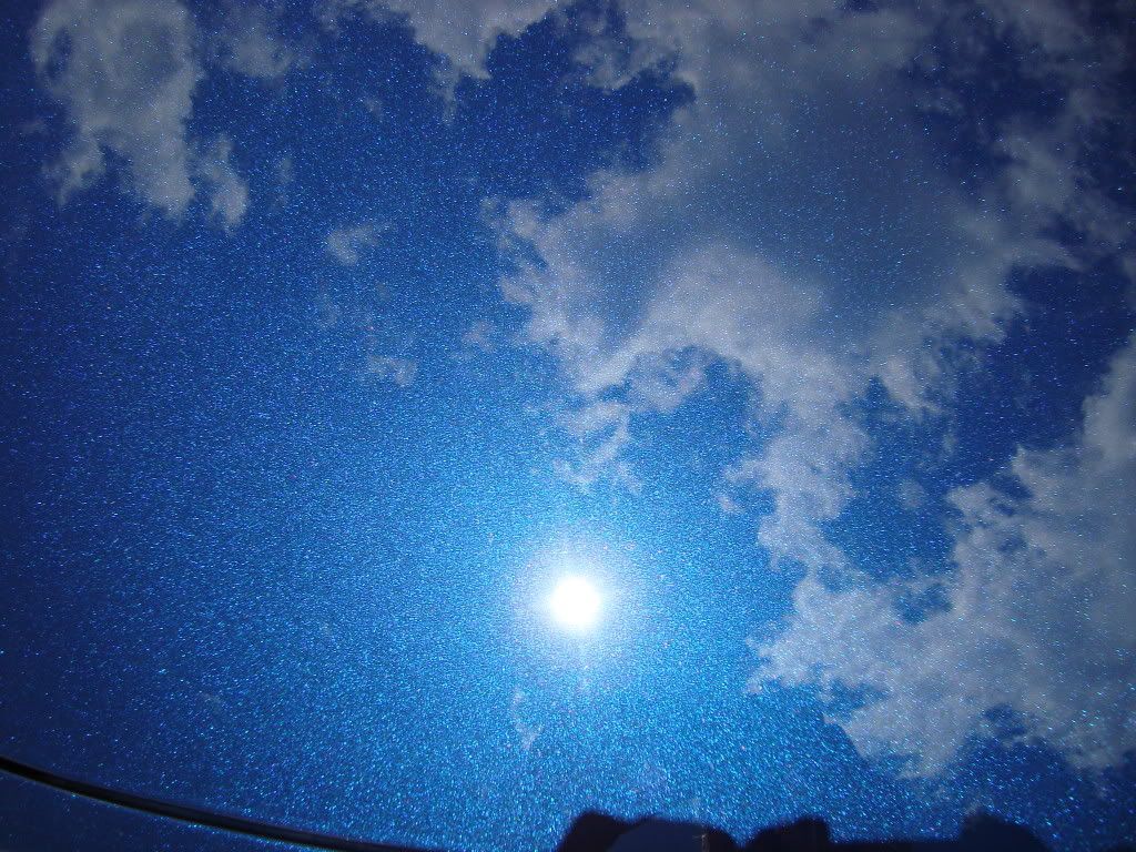 DSC01431.jpg