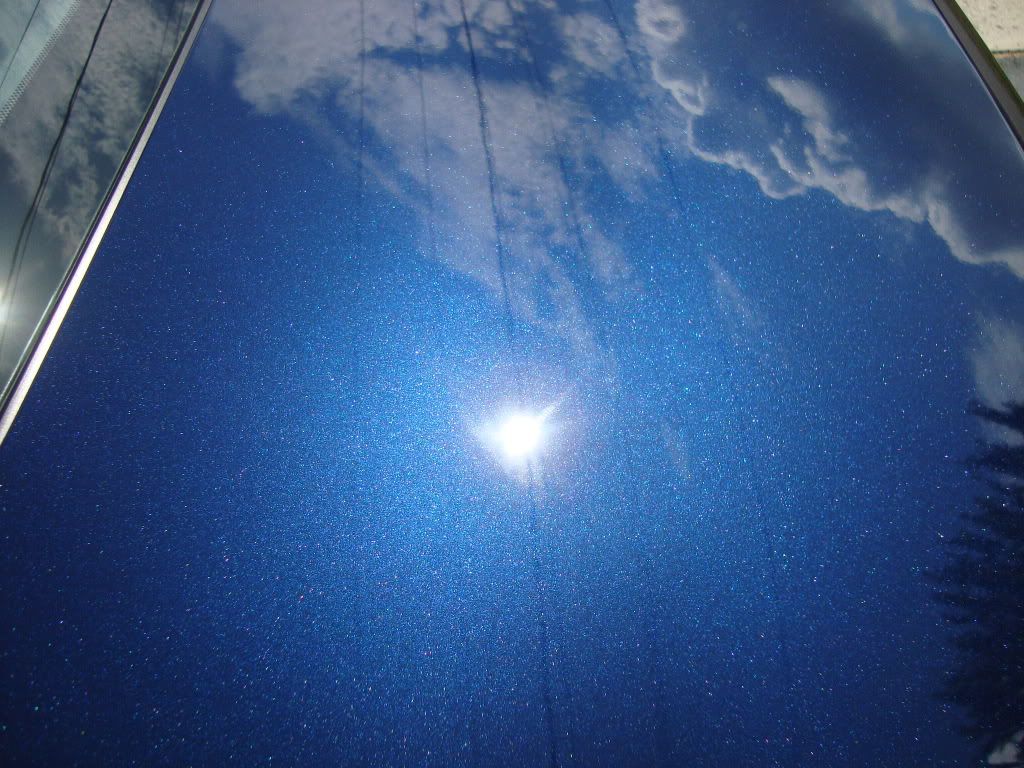 DSC01595.jpg