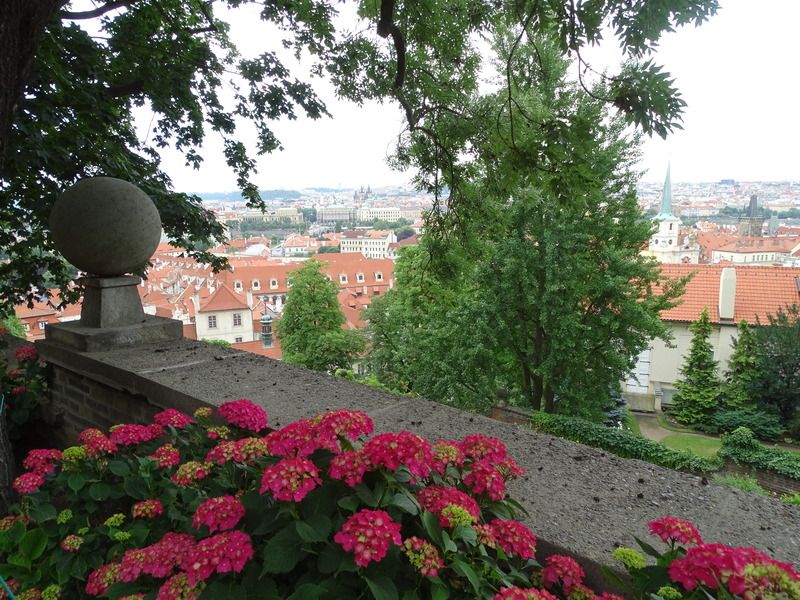 7 días en Praga con escursiones a Dresde (Alemania),Karlovy Vary y Terezin (E.C) - Blogs de Checa Rep. - Día 2: Jueves 30 de Junio de 2016 (26)