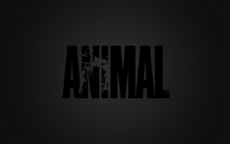 Animal Pak Backgrounds