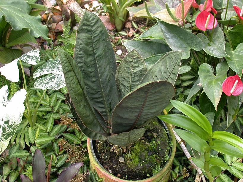 DSCN5408.jpg