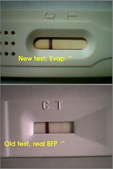 Quickvue Pregnancy Test