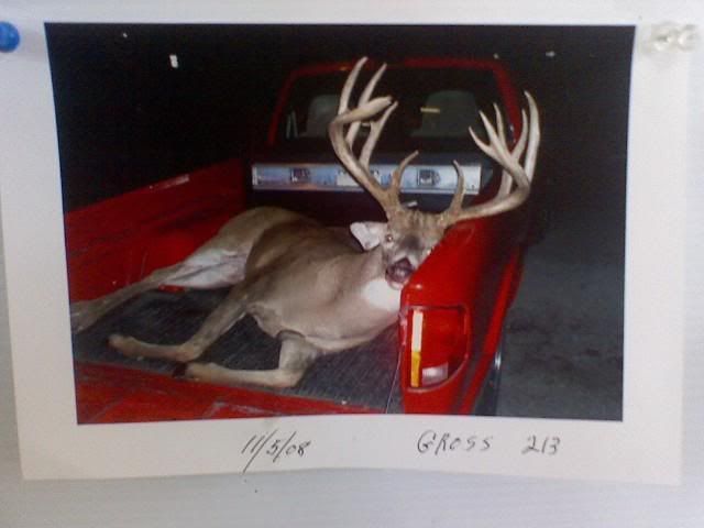 Ohio Big Buck