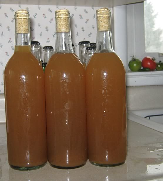 Kitchen Creations 'Tis the season for Apple Pie Wine...