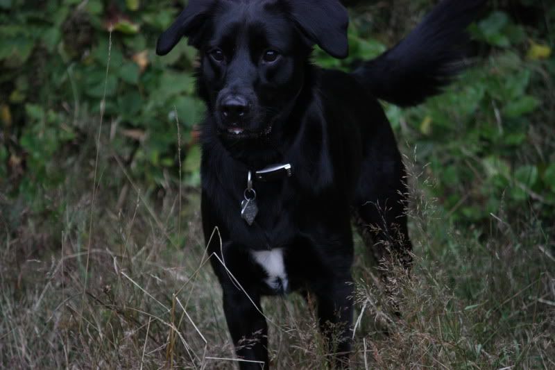 IMAGE: http://img.photobucket.com/albums/v466/sk8erdh36/001.jpg