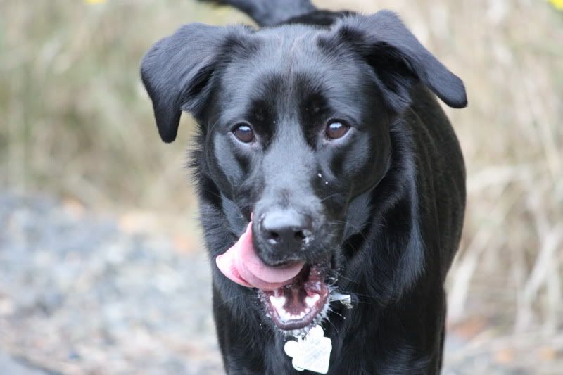 IMAGE: http://img.photobucket.com/albums/v466/sk8erdh36/022.jpg