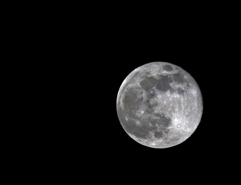 IMAGE: http://img.photobucket.com/albums/v467/airbutchie/Photography/_MG_5886.jpg