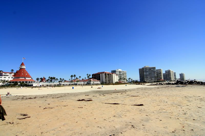 IMAGE: http://img.photobucket.com/albums/v467/airbutchie/Various%20Images/HotelCoronado.jpg