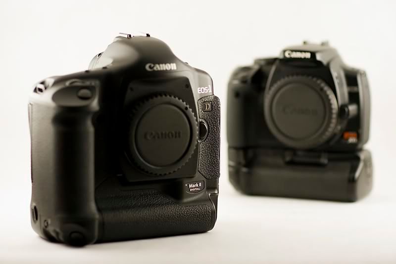 IMAGE: http://img.photobucket.com/albums/v467/airbutchie/Various%20Images/IMG_4934.jpg