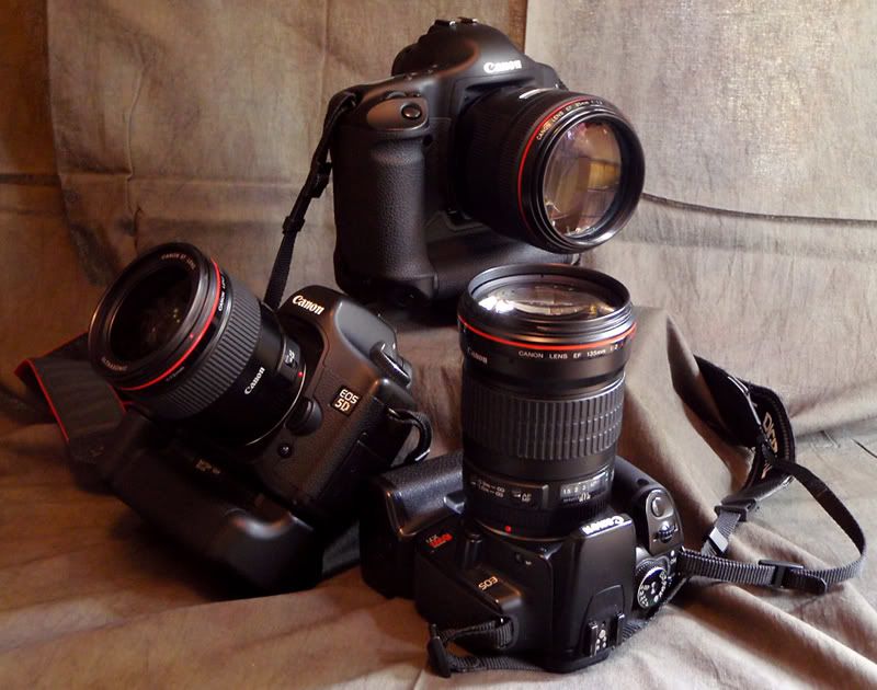 IMAGE: http://img.photobucket.com/albums/v467/airbutchie/Various%20Images/P2060148.jpg