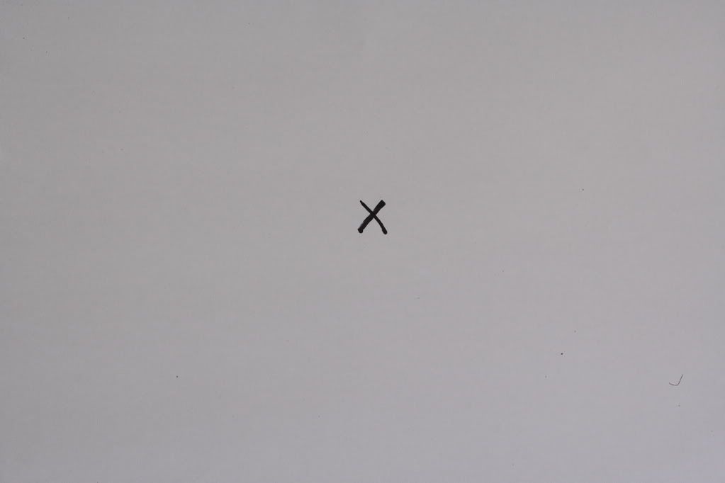 IMAGE: http://img.photobucket.com/albums/v467/airbutchie/Various%20Images/Sensor-Cleaning-01.jpg